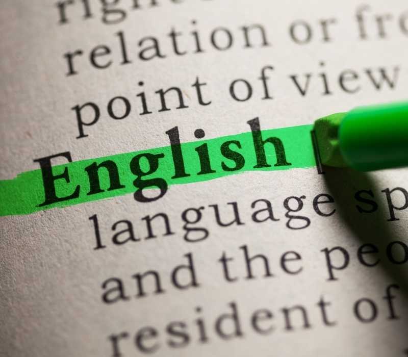 ألمانيا | دراسة البكالوريوس باللغة الإنجليزية